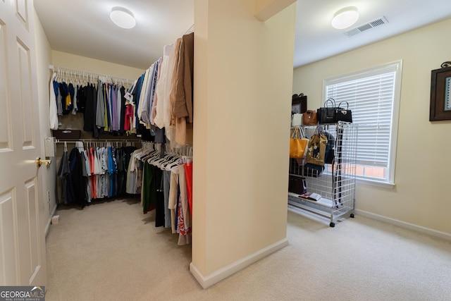 2940 Bentbill Xing, Cumming, GA 30041 - spacious closet with carpet
