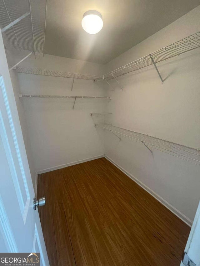 2994 Abbotts Oak Way, Duluth, GA 30097 - walk in closet featuring wood finished floors