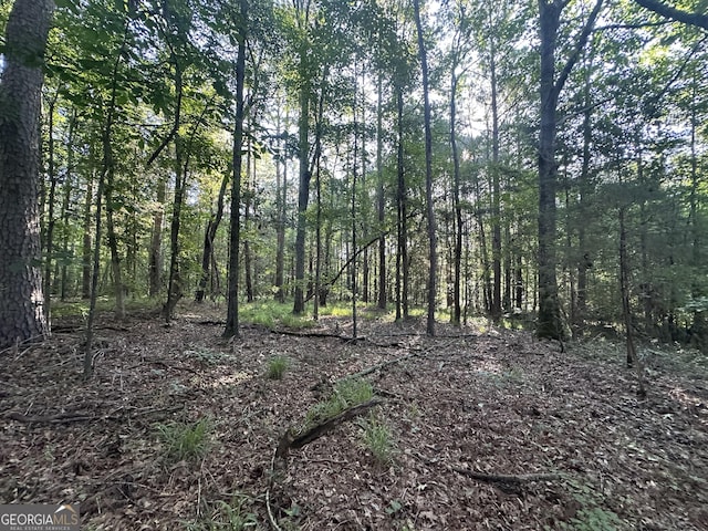 0 Berkley Rd, Carlton, GA 30627