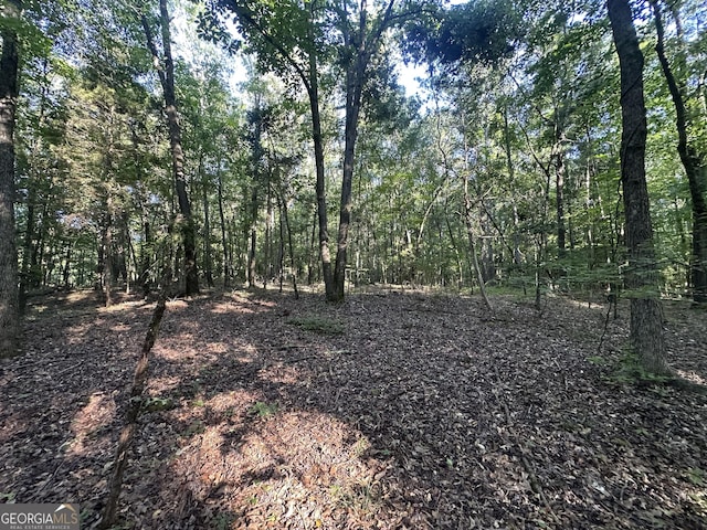 0 Berkley Rd, Carlton, GA 30627