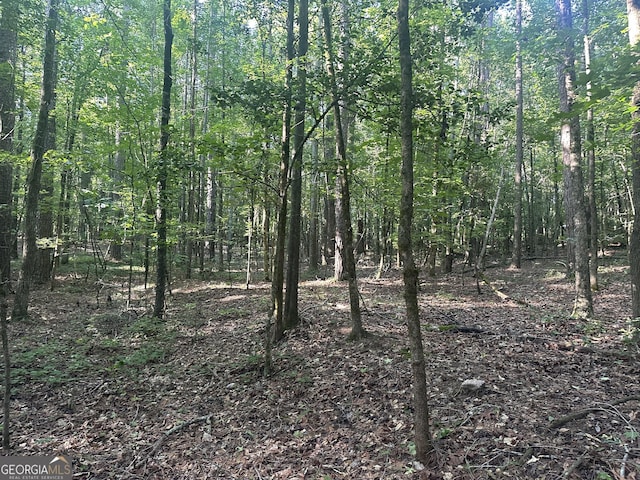 0 Berkley Rd, Carlton, GA 30627