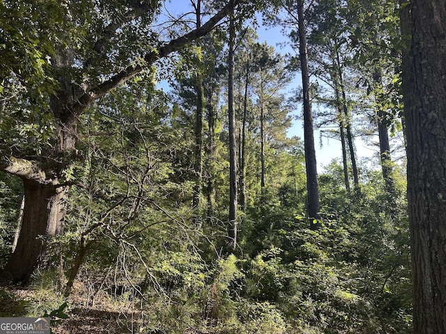 0 Berkley Rd, Carlton, GA 30627