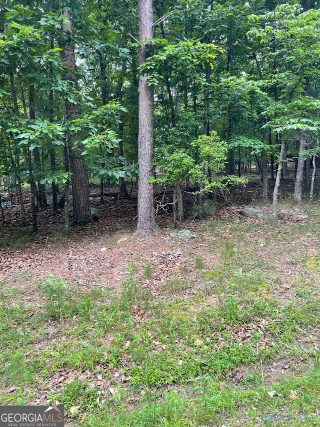 133 Pawnee St, Waleska, GA 30183