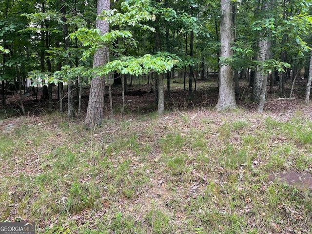 133 Pawnee St, Waleska, GA 30183
