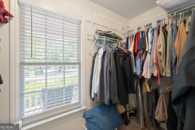 491 Brickleberry Rdg, Athens, GA 30605 - view of walk in closet