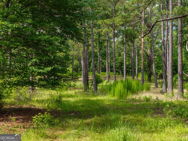 0 S Porter Rd, Shiloh, GA 31826