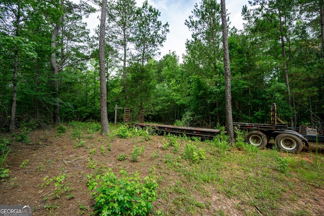 0 S Porter Rd, Shiloh, GA 31826