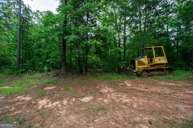 0 S Porter Rd, Shiloh, GA 31826