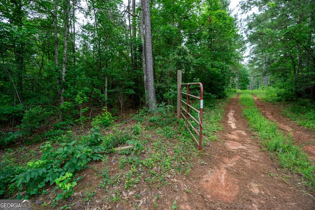 0 S Porter Rd, Shiloh, GA 31826