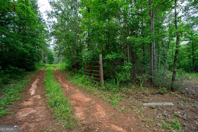 0 S Porter Rd, Shiloh, GA 31826