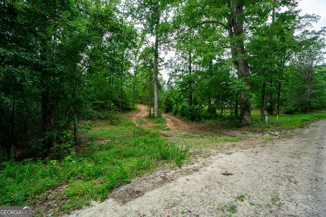 0 S Porter Rd, Shiloh, GA 31826