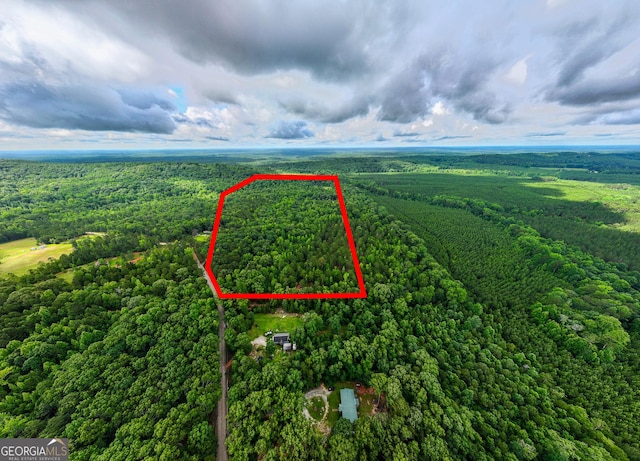 0 S Porter Rd, Shiloh, GA 31826