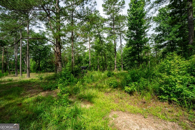 0 S Porter Rd, Shiloh, GA 31826