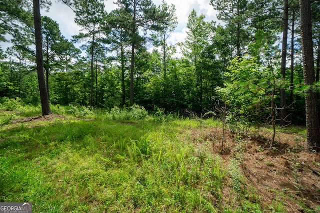 0 S Porter Rd, Shiloh, GA 31826