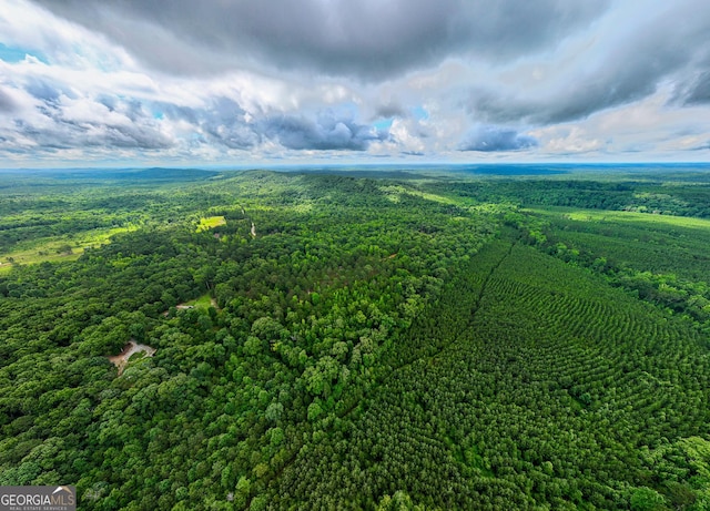 0 S Porter Rd, Shiloh, GA 31826