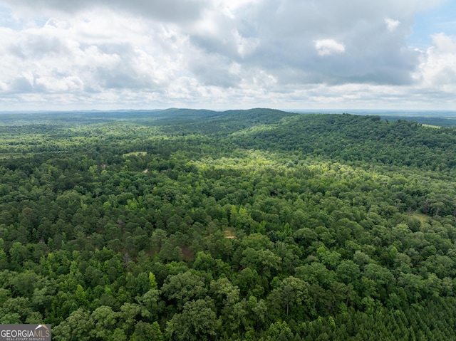 0 S Porter Rd, Shiloh, GA 31826