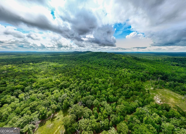 0 S Porter Rd, Shiloh, GA 31826