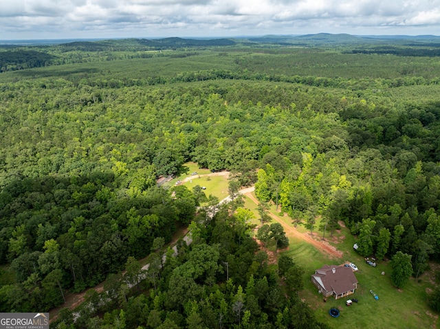 0 S Porter Rd, Shiloh, GA 31826