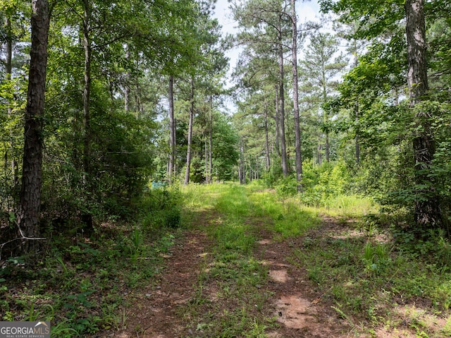 0 S Porter Rd, Shiloh, GA 31826