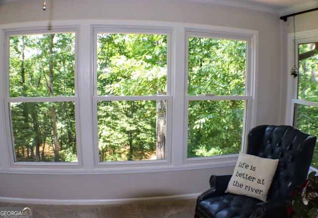 1310 Larkview Dr SW, Lilburn, GA 30047 - sitting room with carpet, plenty of natural light, and crown molding