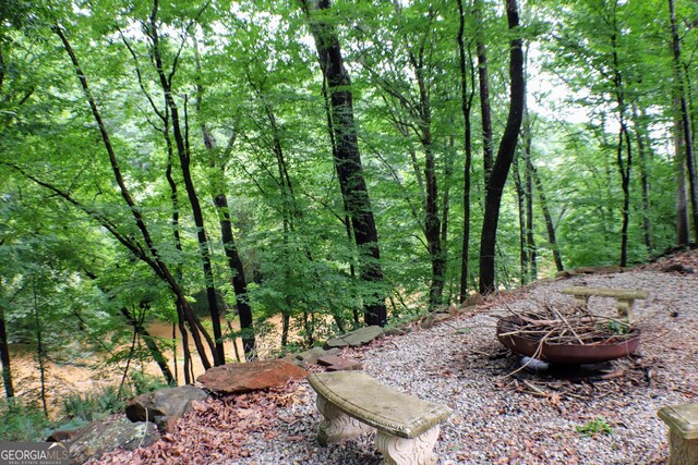 1310 Larkview Dr SW, Lilburn, GA 30047 - view of yard featuring a view of trees