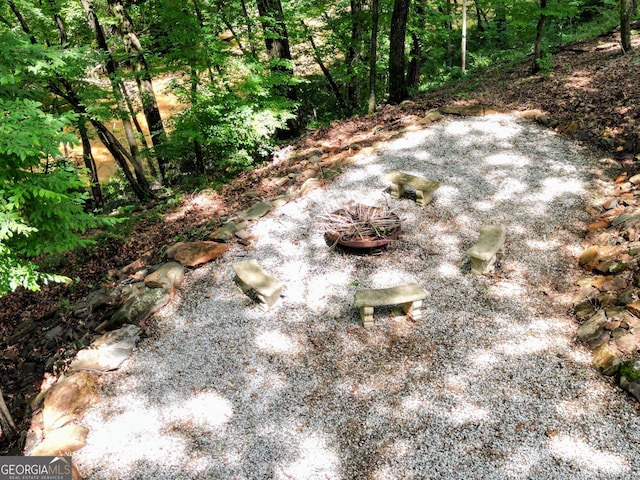 1310 Larkview Dr SW, Lilburn, GA 30047 - view of nature