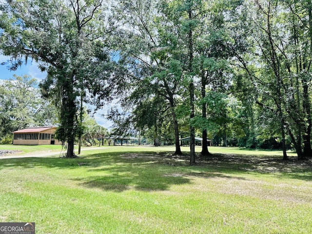 226 Cherokee Rd, Glenwood, GA 30428 - view of green lawn