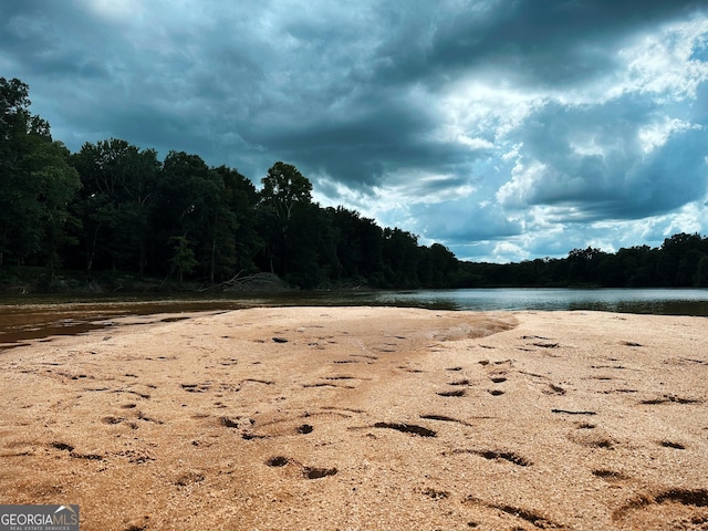 226 Cherokee Rd, Glenwood, GA 30428 - water view with a forest
