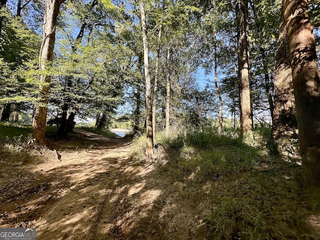 226 Cherokee Rd, Glenwood, GA 30428 - view of undeveloped land