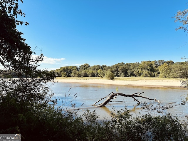 226 Cherokee Rd, Glenwood, GA 30428 - water view featuring a forest