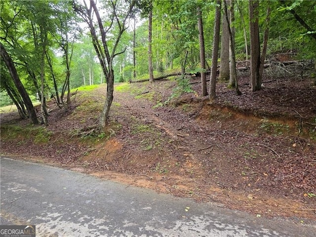 0 Edgewater Dr, Ellijay, GA 30540