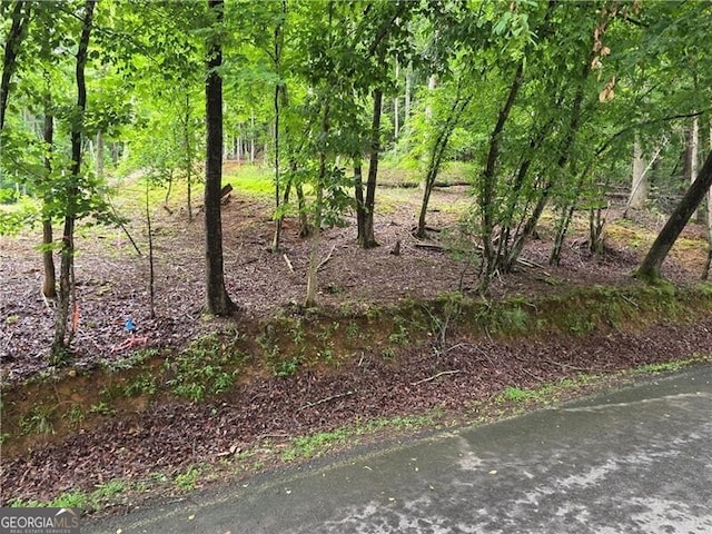 0 Edgewater Dr, Ellijay, GA 30540