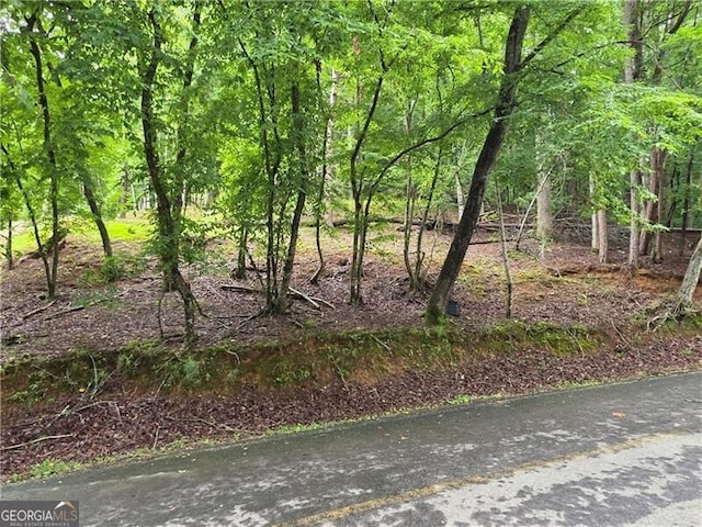 0 Edgewater Dr, Ellijay, GA 30540