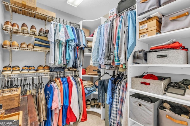 2357 Haven Heights Rd, Hiawassee, GA 30546 - view of spacious closet