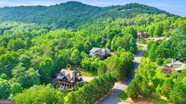 2357 Haven Heights Rd, Hiawassee, GA 30546 - aerial view of a forest