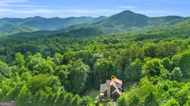 2357 Haven Heights Rd, Hiawassee, GA 30546 - view of mountain backdrop featuring a forest