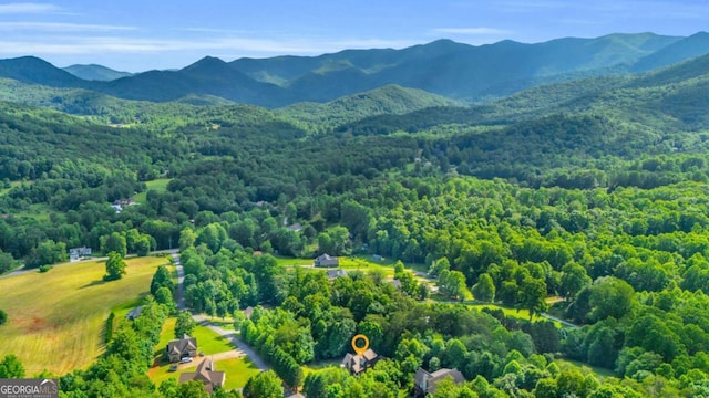 2357 Haven Heights Rd, Hiawassee, GA 30546 - aerial view of a heavily wooded area and a mountainous background