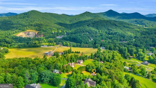 2357 Haven Heights Rd, Hiawassee, GA 30546 - aerial view of a forest and a mountainous background