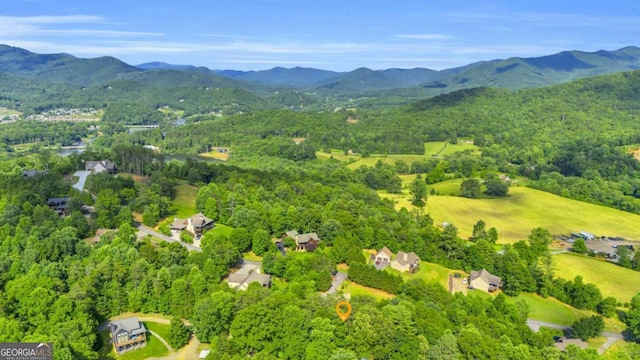 2357 Haven Heights Rd, Hiawassee, GA 30546 - drone / aerial view of a forest and mountains