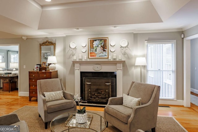 1060 Woodhollow Ln, Athens, GA 30606 - living room with light wood finished floors, plenty of natural light, ornamental molding, a fireplace, and a raised ceiling