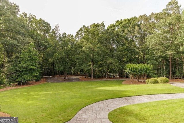 1060 Woodhollow Ln, Athens, GA 30606 - view of grassy yard with view of wooded area