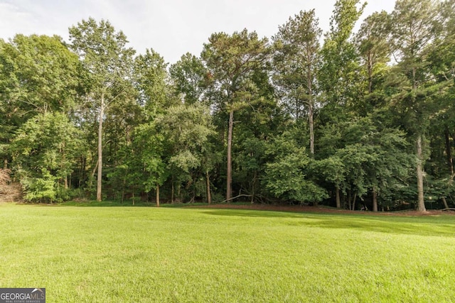1060 Woodhollow Ln, Athens, GA 30606 - view of grassy yard