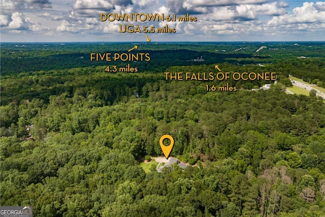 1060 Woodhollow Ln, Athens, GA 30606 - drone / aerial view of a forest