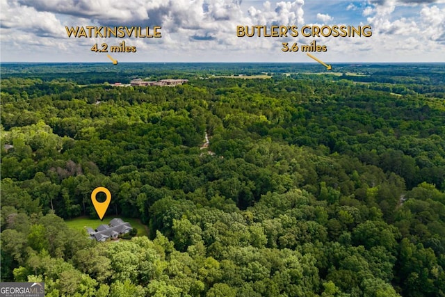 1060 Woodhollow Ln, Athens, GA 30606 - bird's eye view of a forest