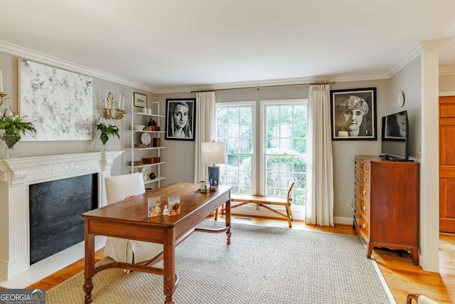 1060 Woodhollow Ln, Athens, GA 30606 - home office featuring crown molding, light wood finished floors, and a fireplace with flush hearth