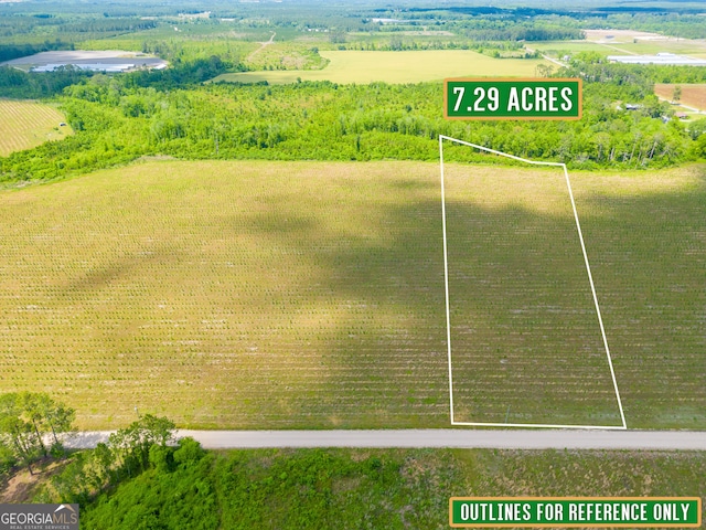 TRACT12 Sellers Rd NW, Baxley, GA 31513
