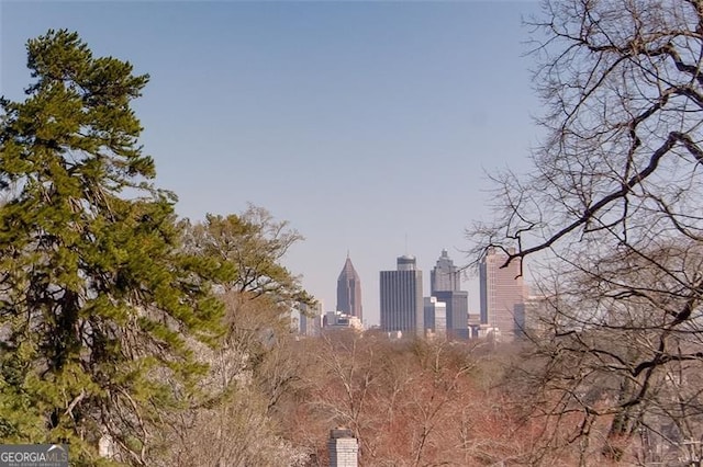 469 Mellview Ave, Atlanta, GA 30310 - view of community featuring a skyline view