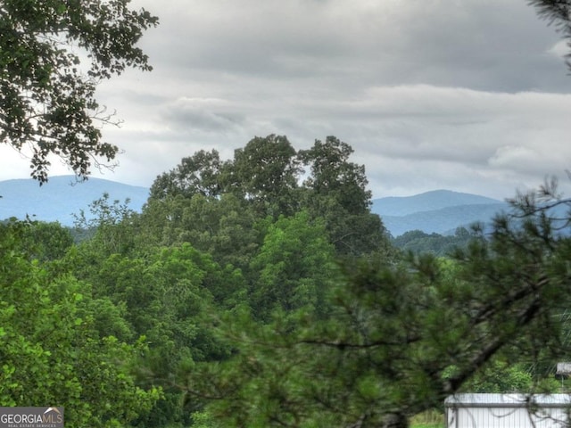 67 Mcnelley Dr, Morganton, GA 30560 - mountain view featuring a heavily wooded area
