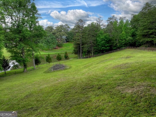 67 Mcnelley Dr, Morganton, GA 30560 - view of yard
