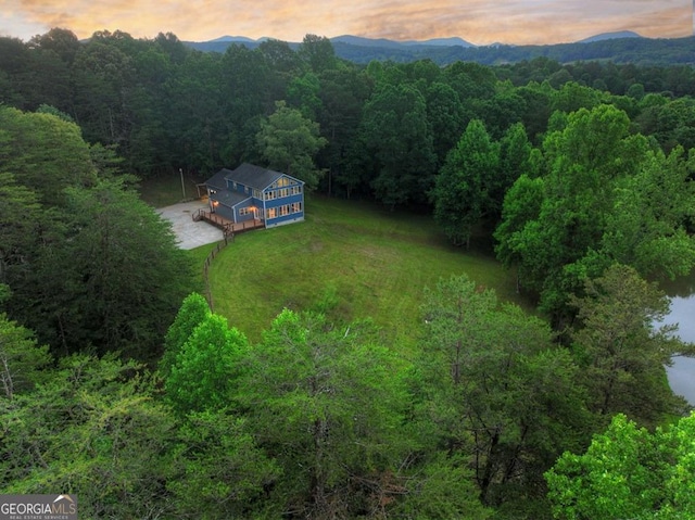 67 Mcnelley Dr, Morganton, GA 30560 - aerial view at dusk of a wooded view